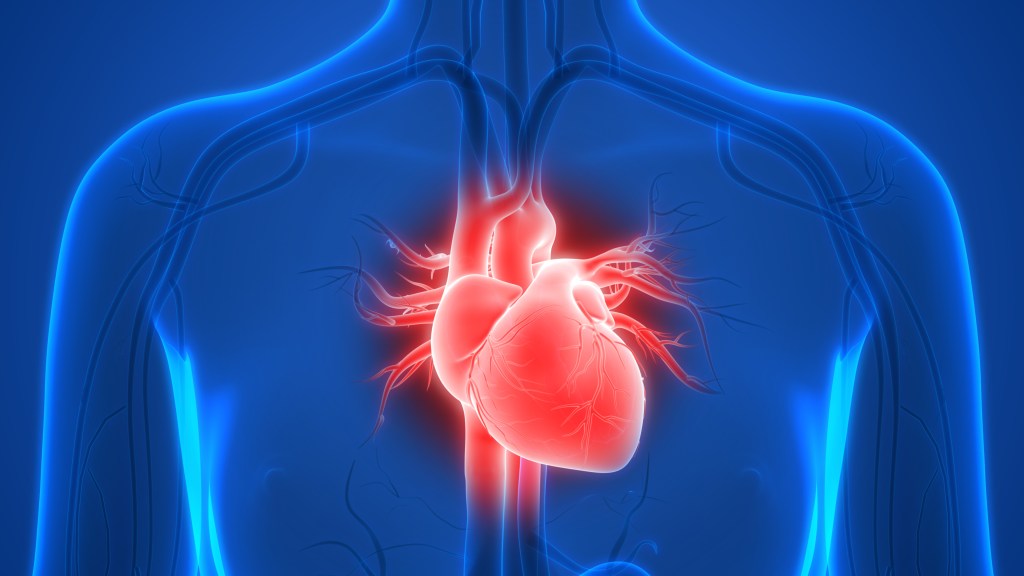 Atrial fibrillation (AFib) is the most common type of arrhythmia, which is the scientific name for a heartbeat that is too slow, too fast, or otherwise irregular.